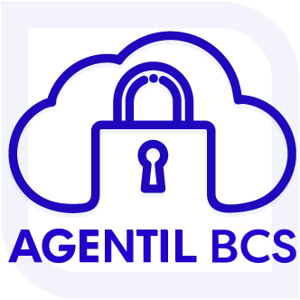 Business cloud Services