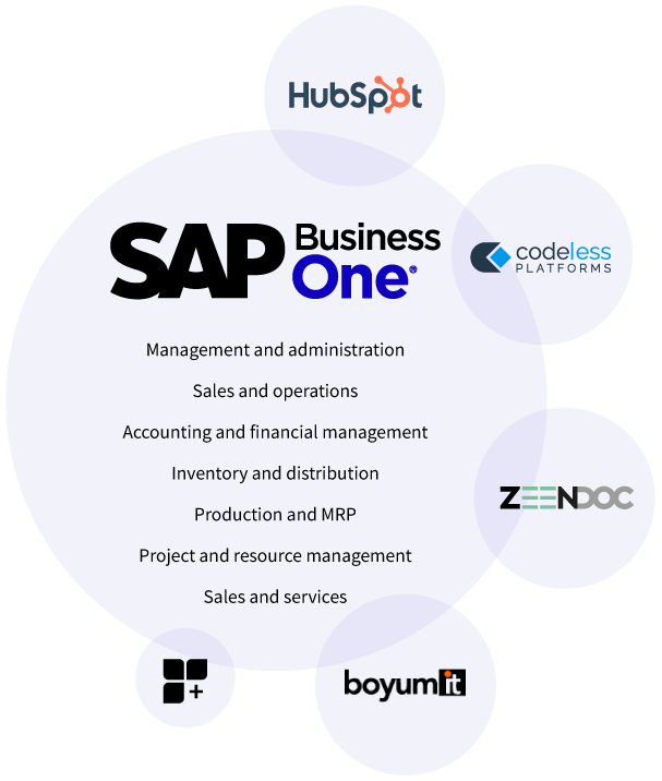 Business Suite - Solutions and software for SME with SAP Business One