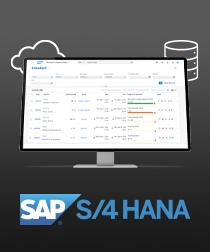 S 4hana cloud on on premise, ERP grande entreprise