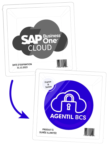 hebergement-business-cloud-sap-business-one