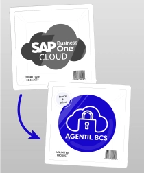 business-cloud-services-hebergement-sap-business-one