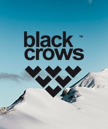 blackcrows-client-agentil-sap